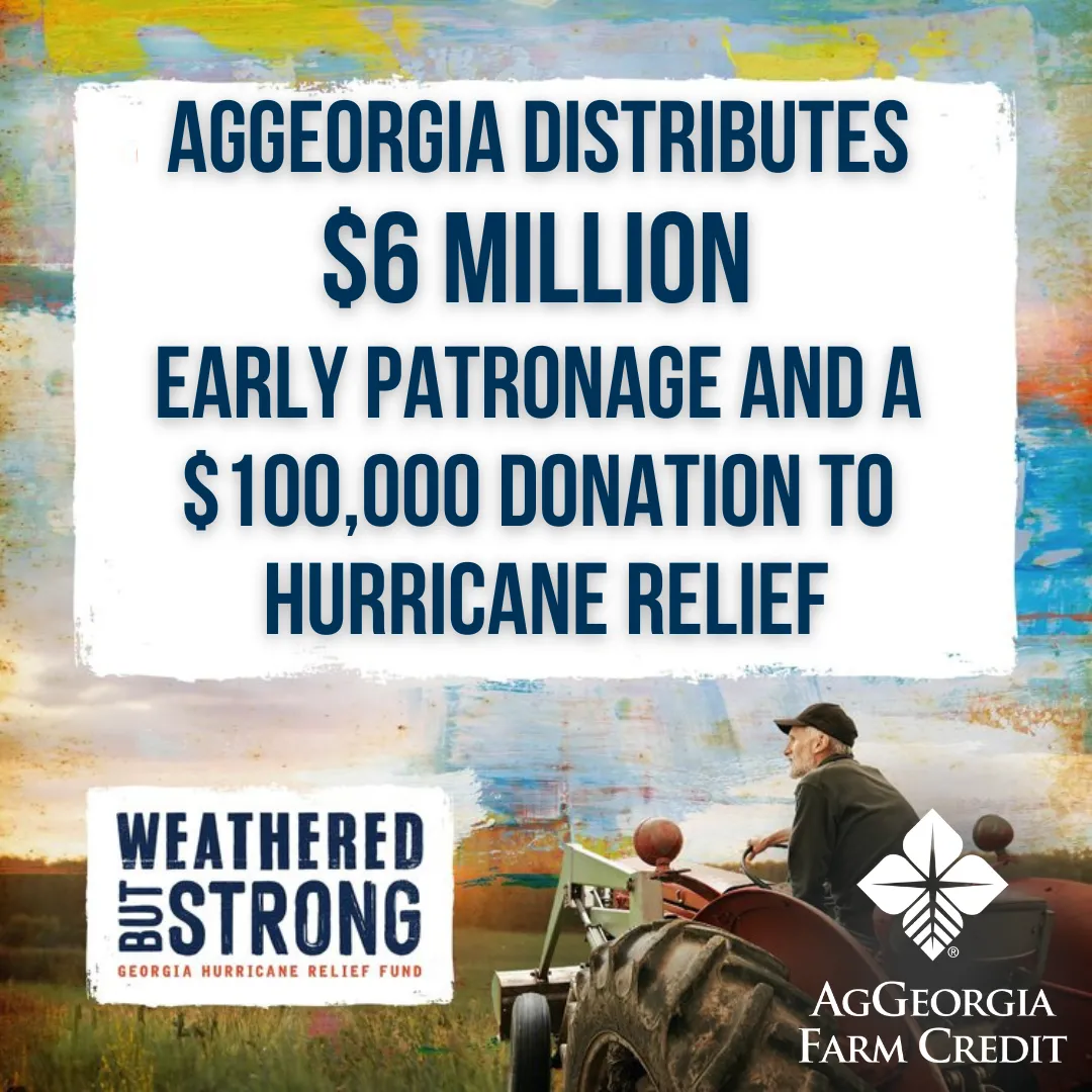 AgGeorgia distributes $6 million early patronage and a $100,000 donation to hurricane relief. Weathered but strong. AgGeorgia Farm Credit. Painting of a man on a tractor in a field.