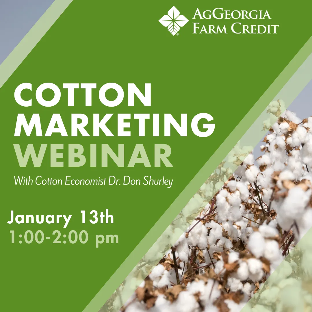 Cotton Marketing Webinar with Cotton Economist Dr. Don Shurley, January 13th 1:00-2:00pm
