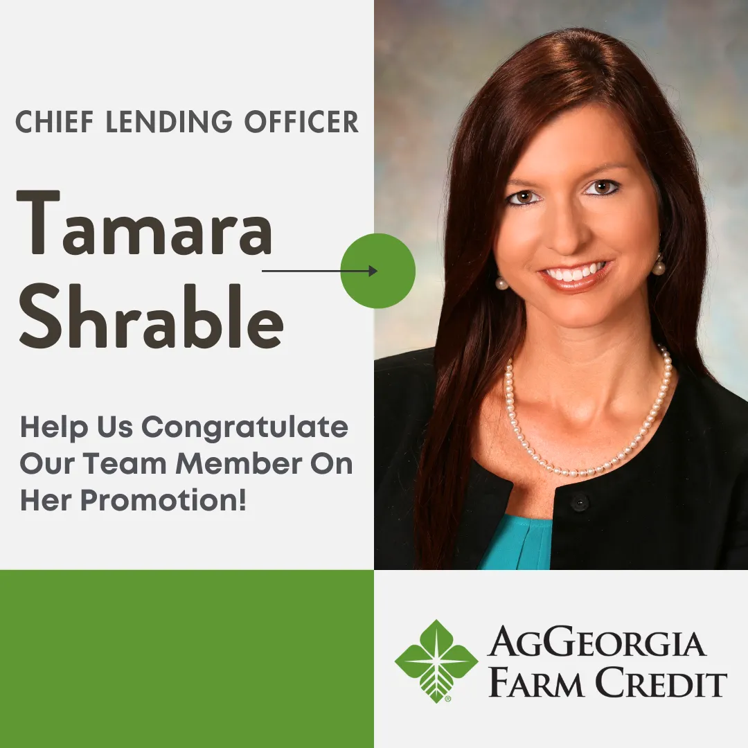 Chief Lending Officer Tamara Shrable, Help us congratulate our team member on her promotion!