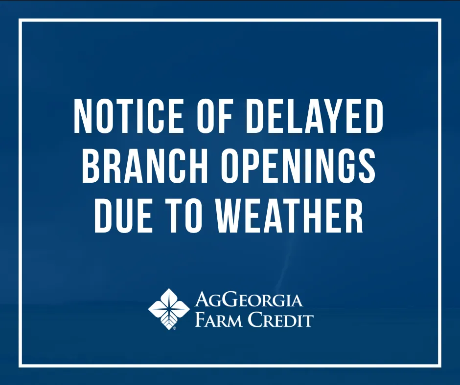 Delayed openings